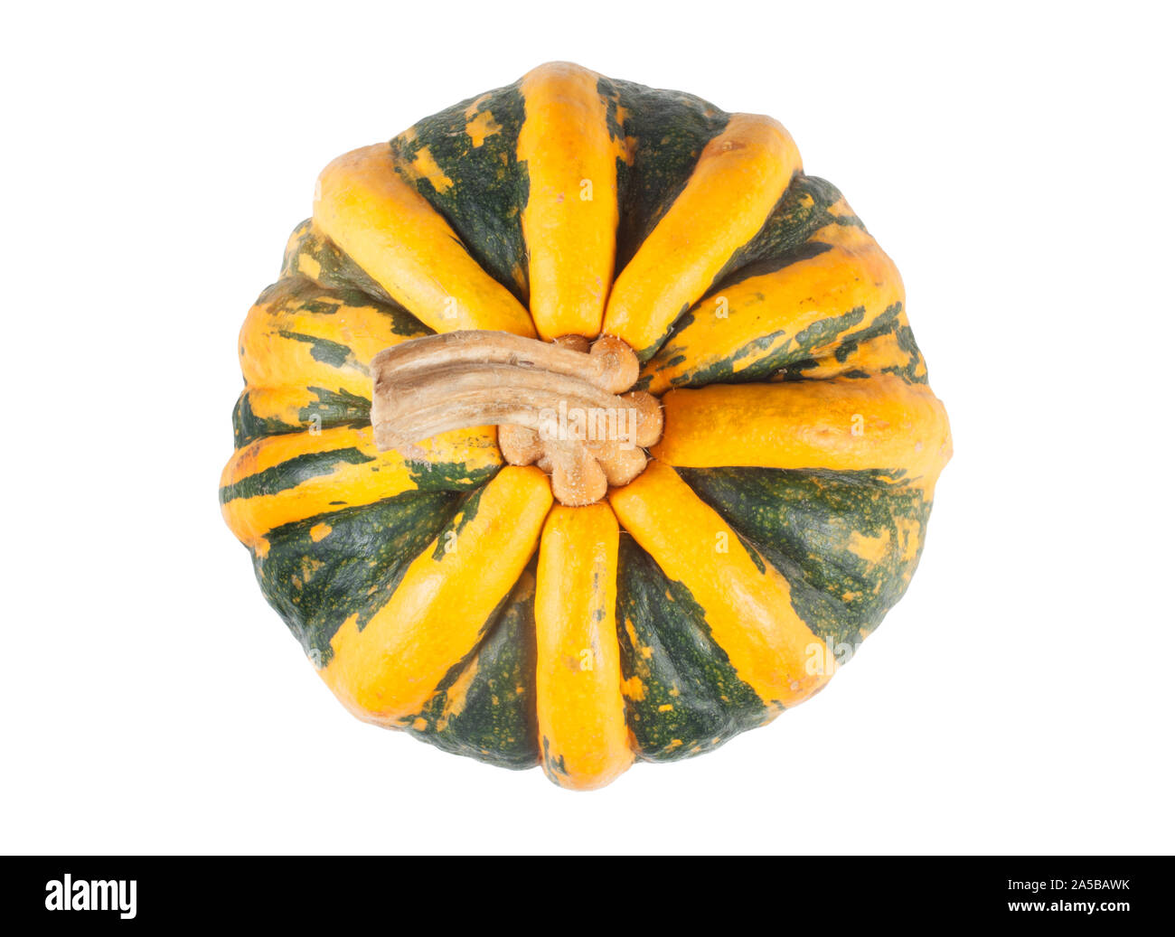 Studio geschossen von einem dekorativen Kürbis schneiden Sie vor einem weißen Hintergrund - Johannes Gollop Stockfoto