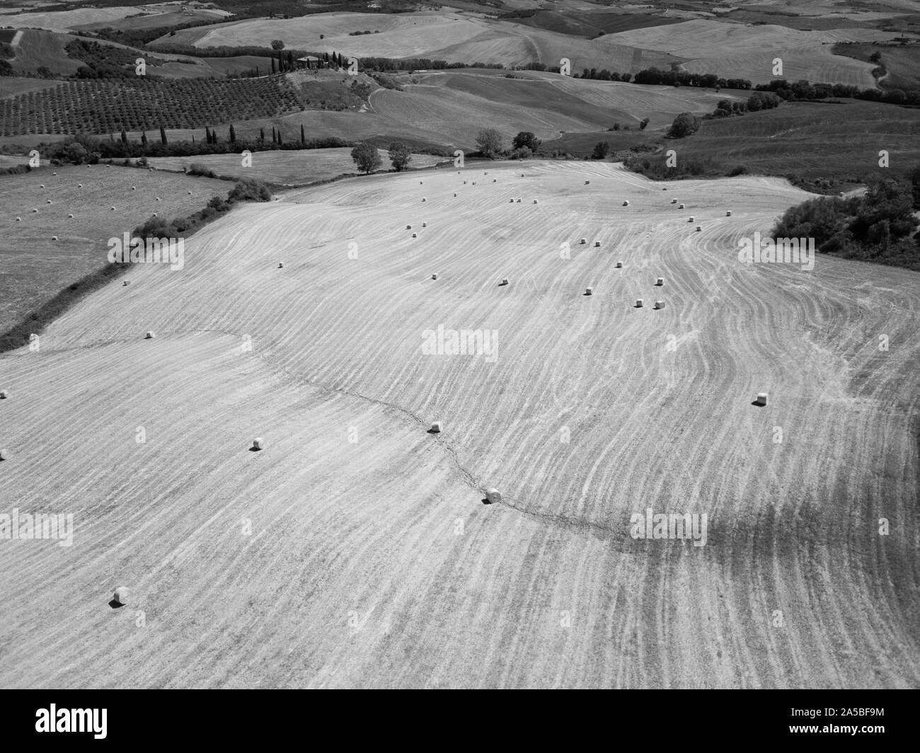 Antenne Sommer Landschaft der Toskana Natur im Sommer, Schwarz und Weiß Stockfoto