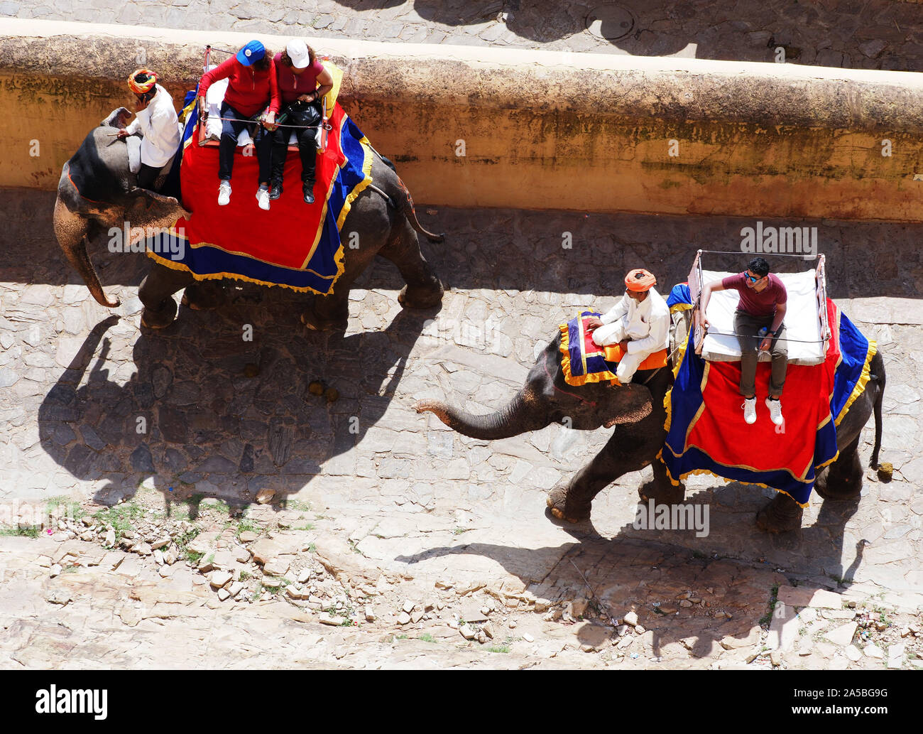 Elefanten arbeiten unter Touristen zum Fort Amber Palace Complex, Jaipur, Rajasthan, Indien. Stockfoto