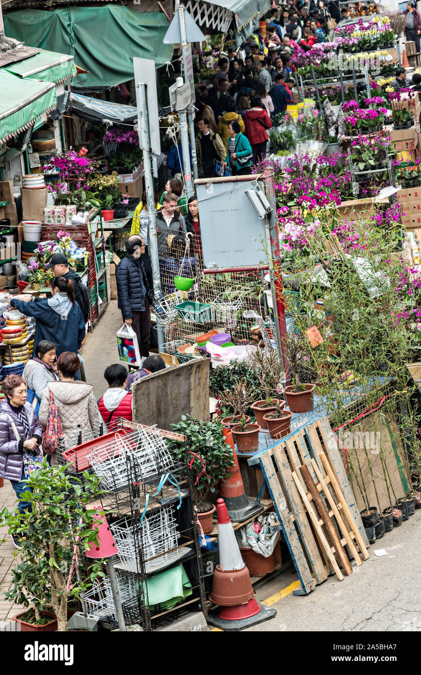 Leute shop für blühende Pflanzen in Mong Kok Blumenmarkt von Kowloon, Hong Kong. Stockfoto
