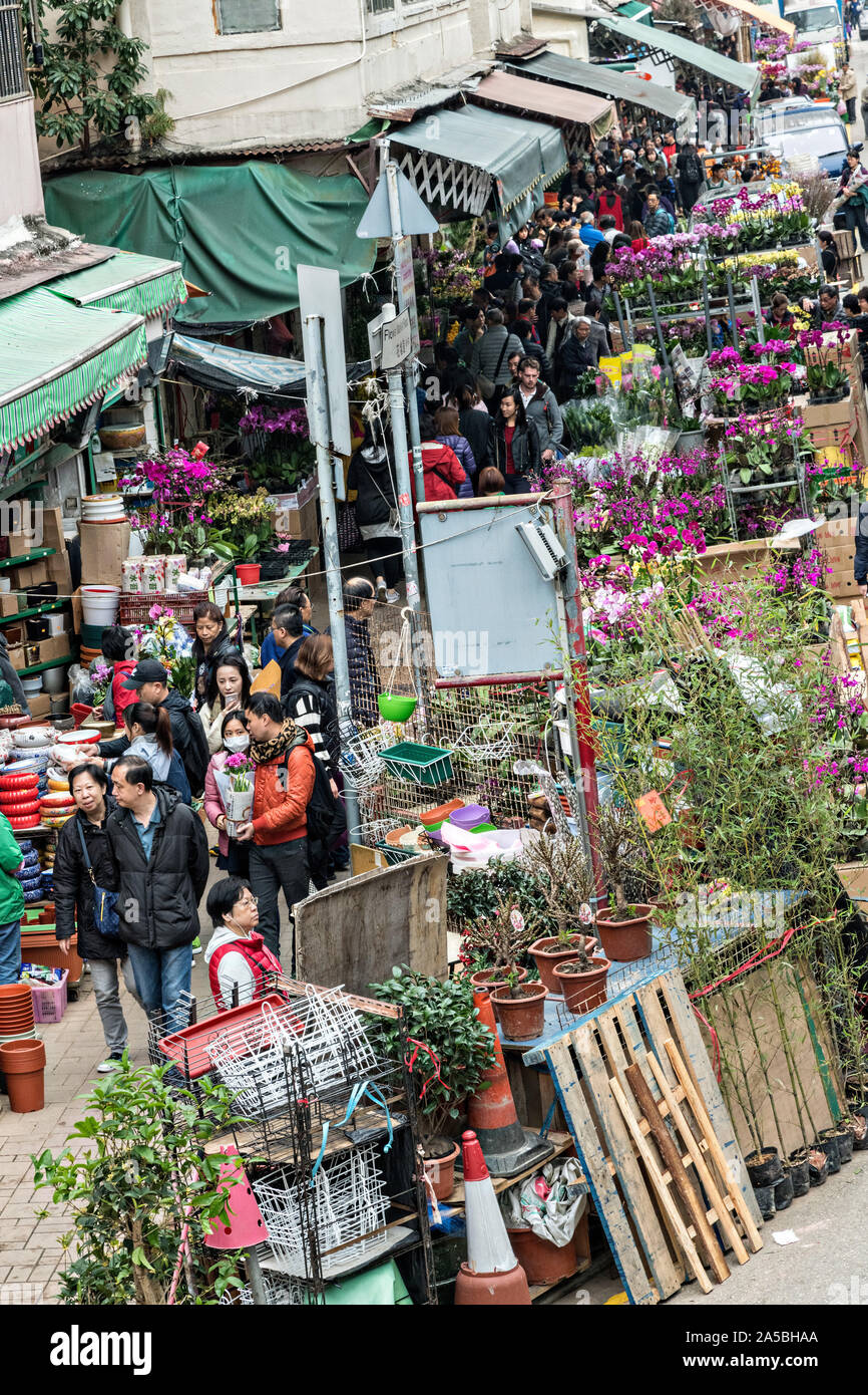 Leute shop für blühende Pflanzen in Mong Kok Blumenmarkt von Kowloon, Hong Kong. Stockfoto