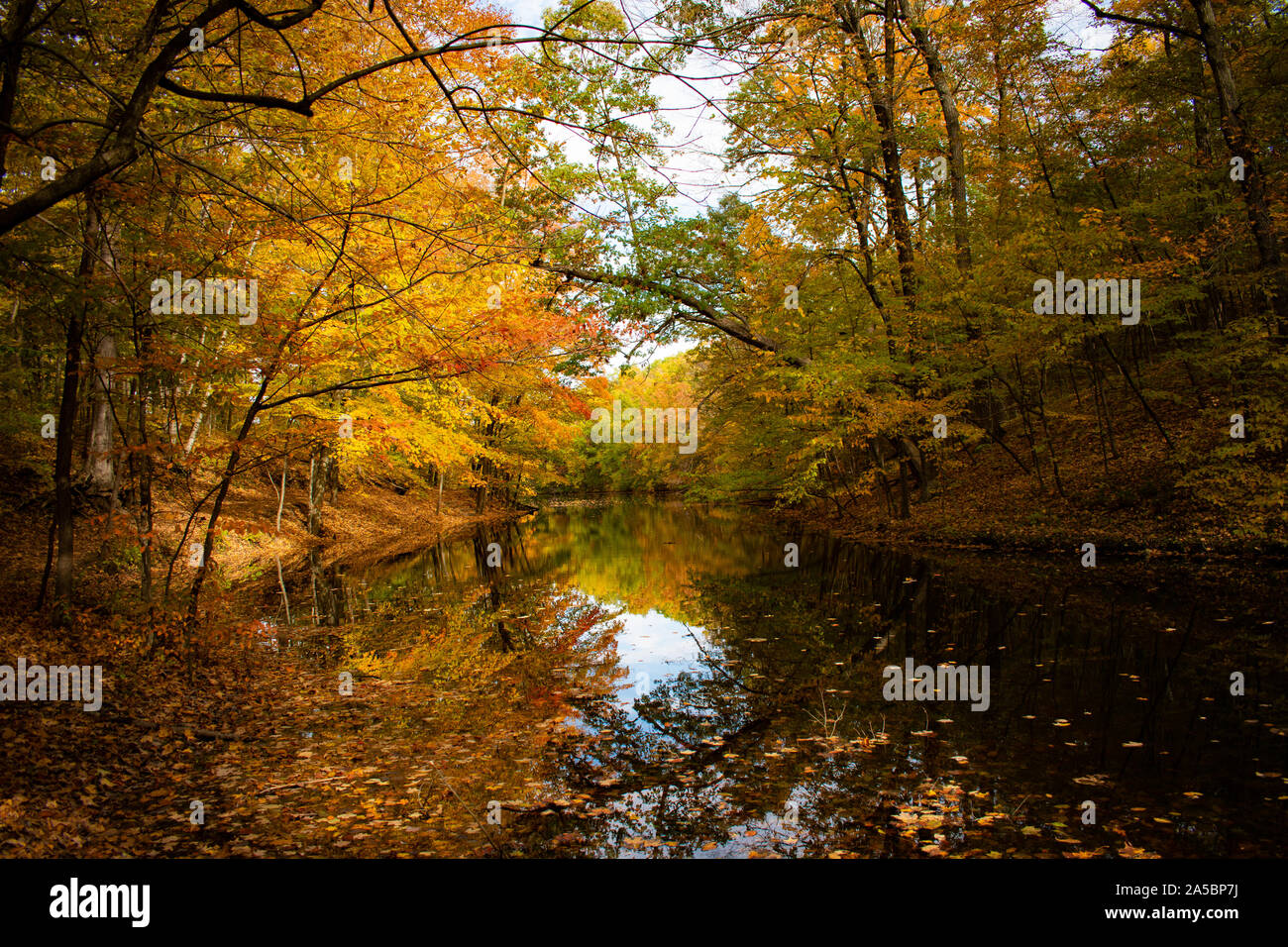 Fall River Szene in West Bend, Wisconsin Stockfoto