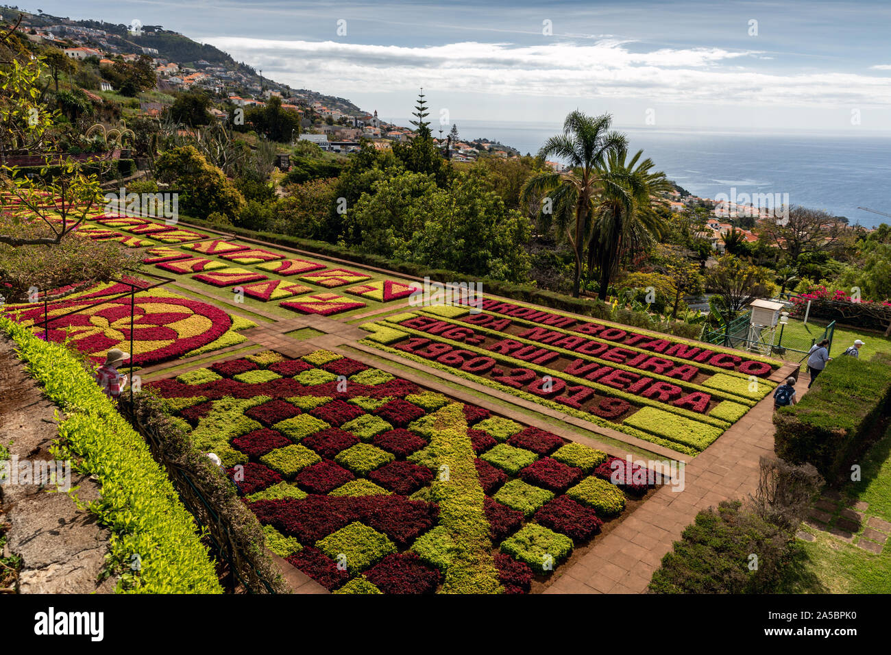 Garten in Madeira Botanische Garten (Jardim Botânico), oberhalb der Hauptstadt Funchal, Madeira, Portugal Stockfoto