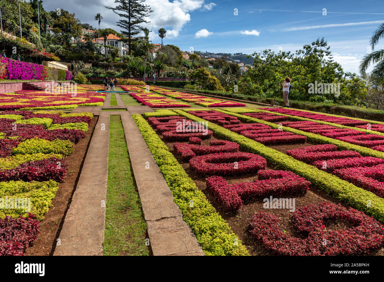 Garten in Madeira Botanische Garten (Jardim Botânico), oberhalb der Hauptstadt Funchal, Madeira, Portugal Stockfoto
