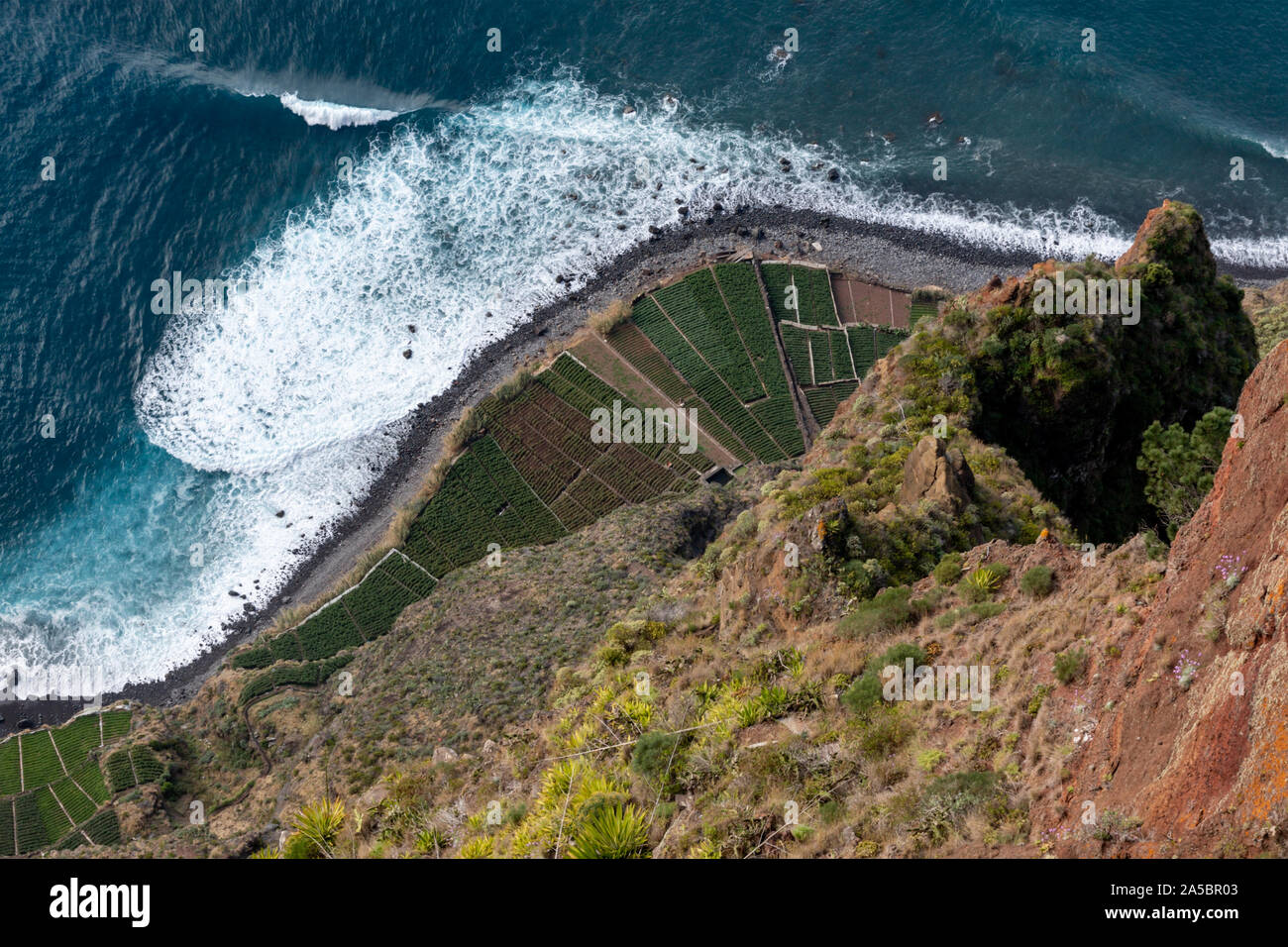 Die Plantagen und den Atlantik von Cabo Girao Skywalk und Aussichtspunkt, Camara de Lobos, Madeira Island, Portugal, Stockfoto