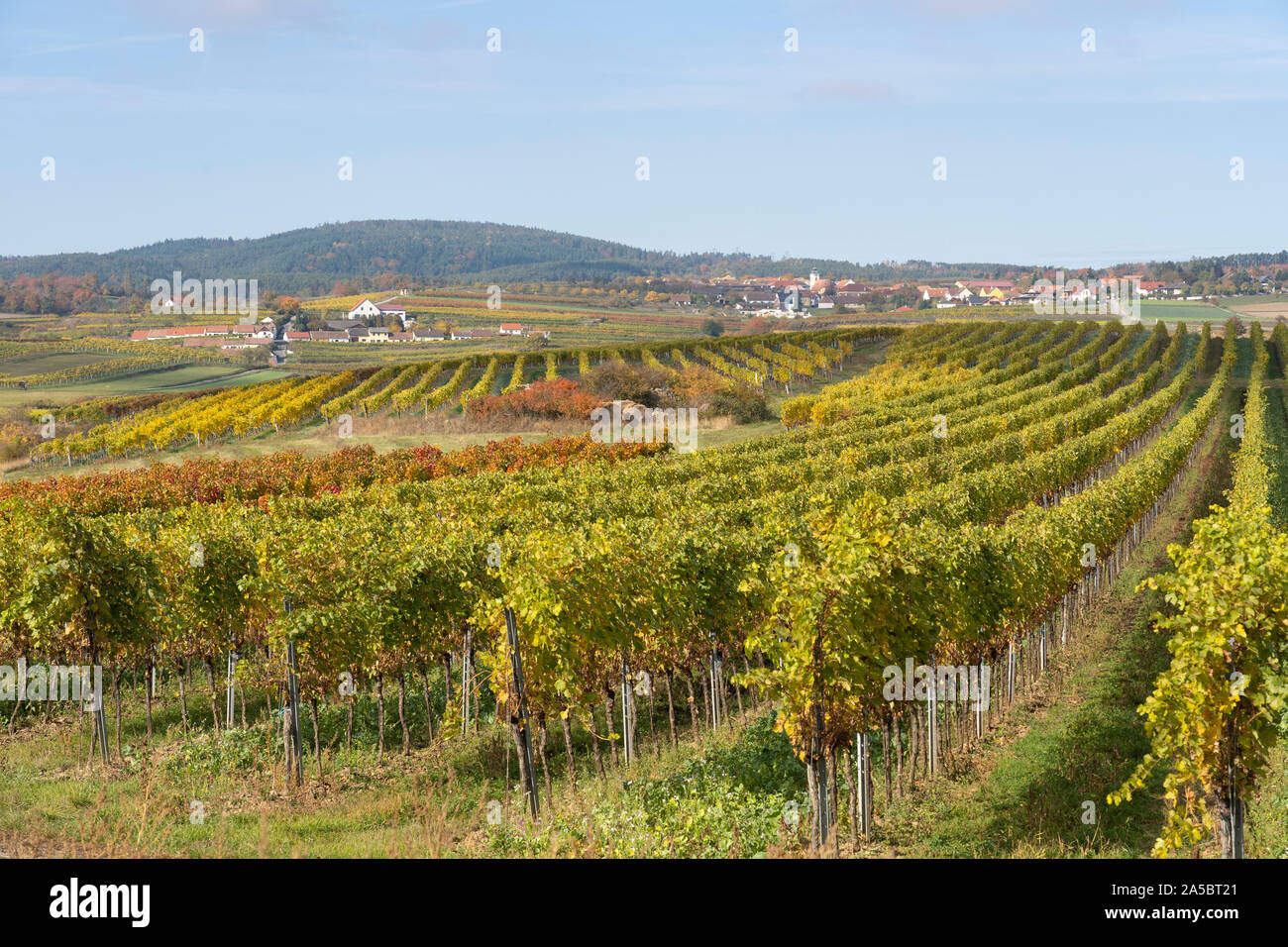 Ein Herbst Blick auf Mittelberg, einem Dorf umgeben von Weinbergen im Kamptal, Niederösterreich, eine beliebte Weinregion und Reiseziel umgeben Stockfoto