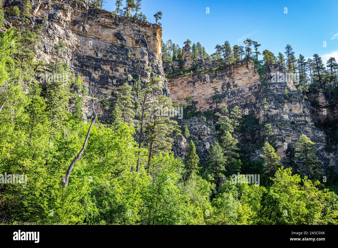 Hohen Kalkfelsen Linie der Route der Spearfish Canyon Scenic Byway in den Black Hills National Forest. Stockfoto