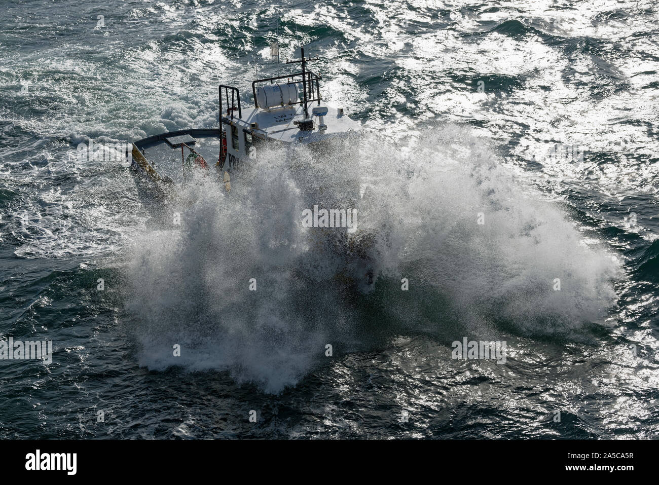 Pilot Boot in der Bucht von Puerto Madryn, Chubut, Patagonien, Argentinien Stockfoto