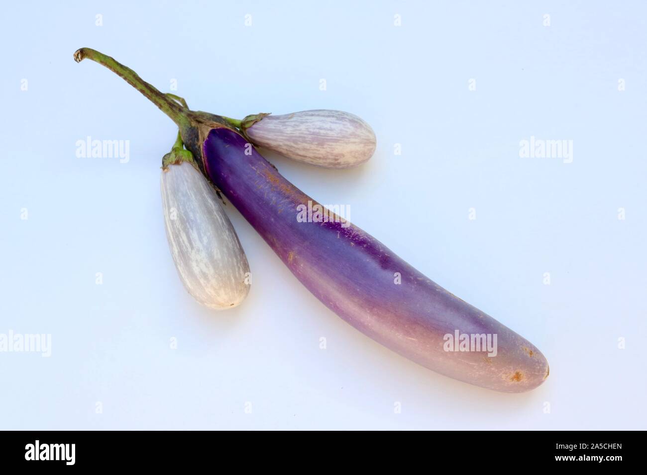 Echten auberginen als emoji vor einem weißen Hintergrund posiert Stockfoto