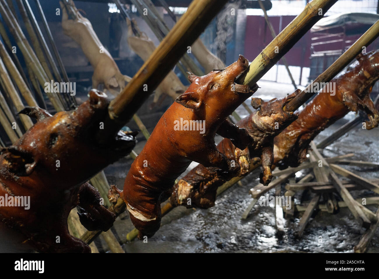 Spieß gebratene Schweine Ausruhen nach einem 3-4 Std. Kochen Zeitraum innerhalb einer Rösterei in Talisay City, Cebu. Als "Lechon Baboy" in den Philippinen bekannt, einst gefeierten als "Das beste Schwein ever" von Starkoch, leider inzwischen verstorbenen, Anthony Bourdain. Als das Nationalgericht der Philippinen "Lechon baboy' ist einer der festen Favoriten mit Filipinos während des ganzen Jahres, besonders aber bei besonderen Veranstaltungen wie Geburtstage, Feste und Weihnachten, wo buchstäblich Hunderte von Tausenden von Schweinen geröstet werden. Der Provinz Cebu ist als das beste Lechon in den Philippinen. Händler der Lechon hav Stockfoto