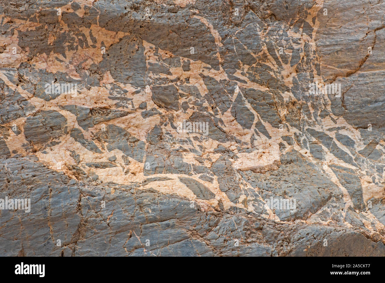 Megabreccia in einem Canyon Wand in den Titus Canyon im Death Valley National Park in Kalifornien Stockfoto