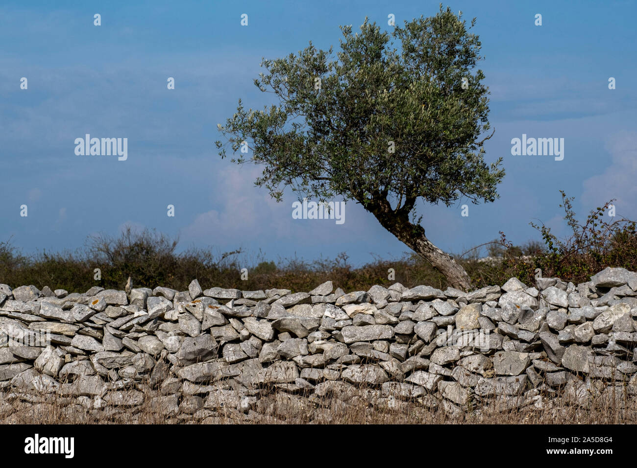 Traditionelle Steinmauer mit Steinen gemacht Stockfoto