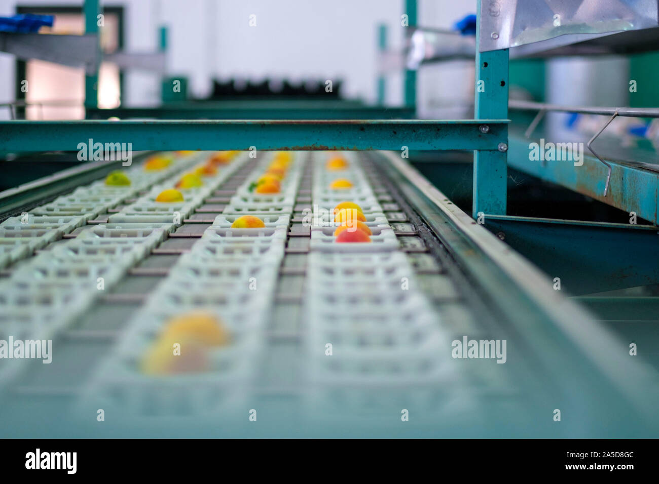 Automatisierte Obst Sortieren und Verpacken industrielle Anlage Stockfoto