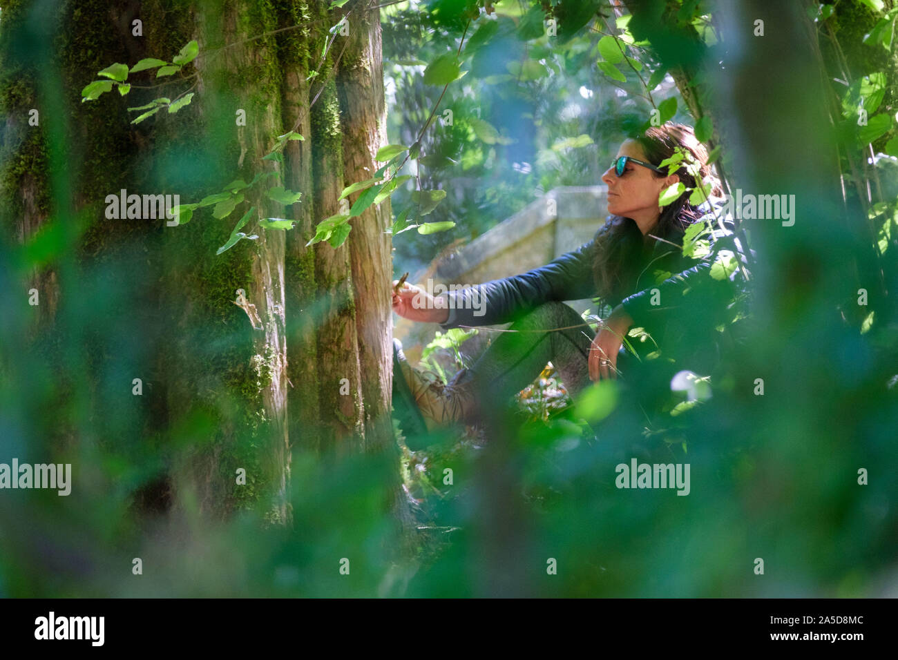 Frau mit geschlossenen Augen berühren einen Baumstamm Wald baden während einer Sitzung Stockfoto