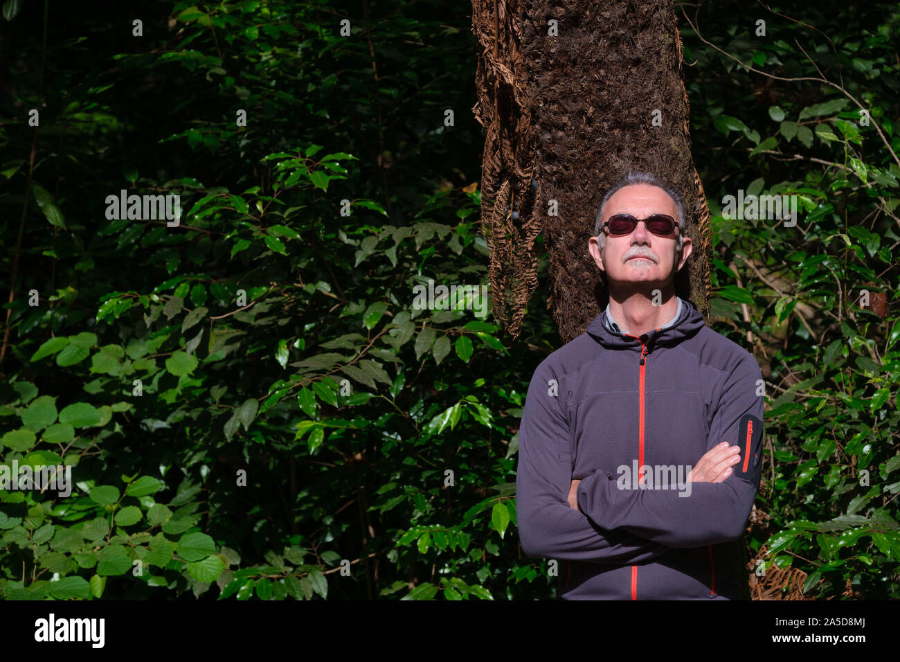 Man genießt die Sonne und lehnte sich an einem Baum mit den Augen bei einem Wald baden Sitzung geschlossen Stockfoto
