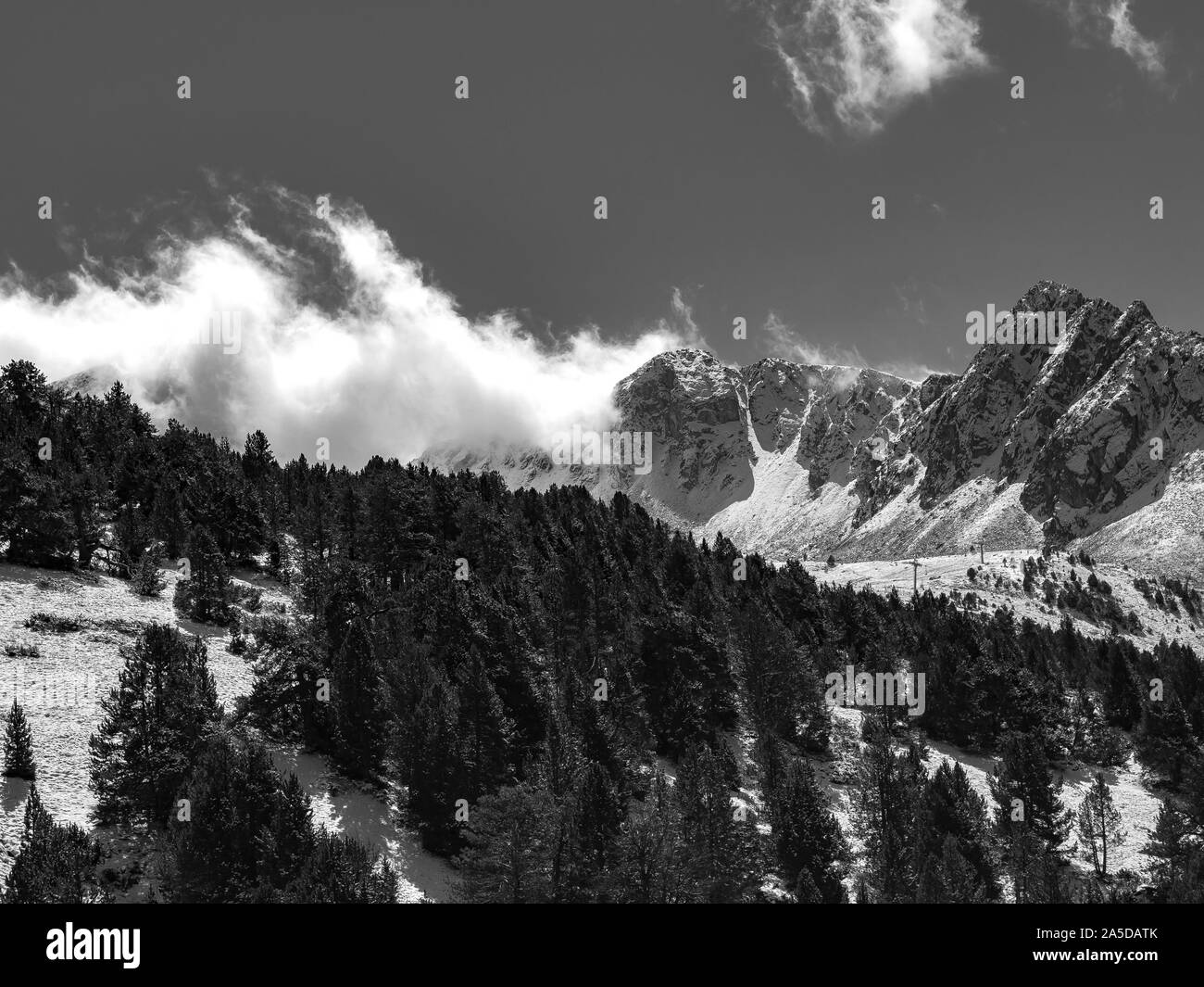 Schöne Aufnahme von bewaldeten Bergen in schwarz und weiß Stockfoto