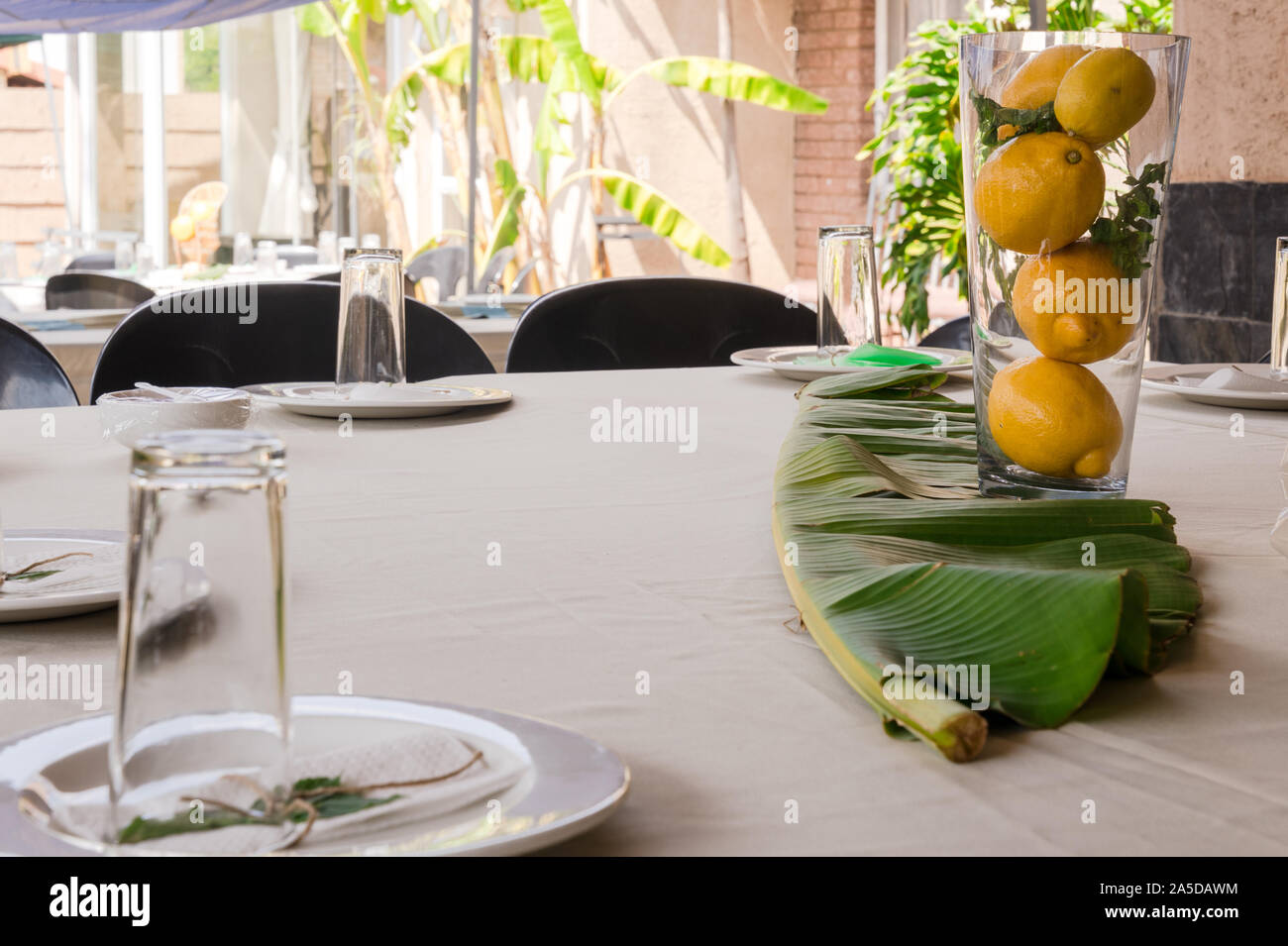 Ein Tisch im Freien mit einem Citrus Dekoration als bunte Dekoration, wo eine Anzahl von Zitronen in dekorative Behälter gehalten werden. Stockfoto