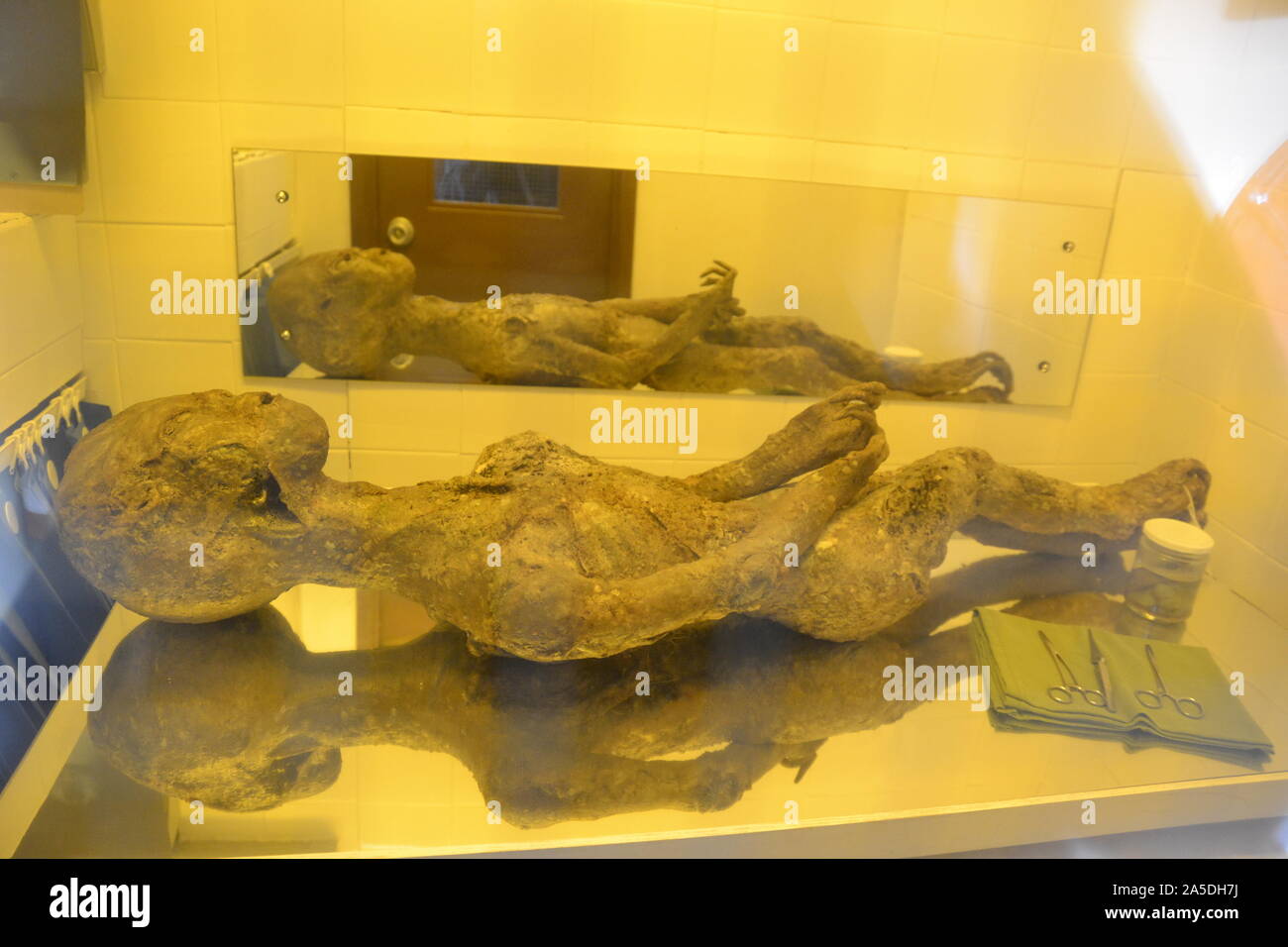 Körper eines Außerirdischen auf Anzeige an Bentwaters Museum zum Kalten Krieg, in der Nähe von Woodbridge, Suffolk, Großbritannien. Seine Entdeckung folgten Gerüchte von Raumfahrzeugen im nahe gelegenen Wald Stockfoto