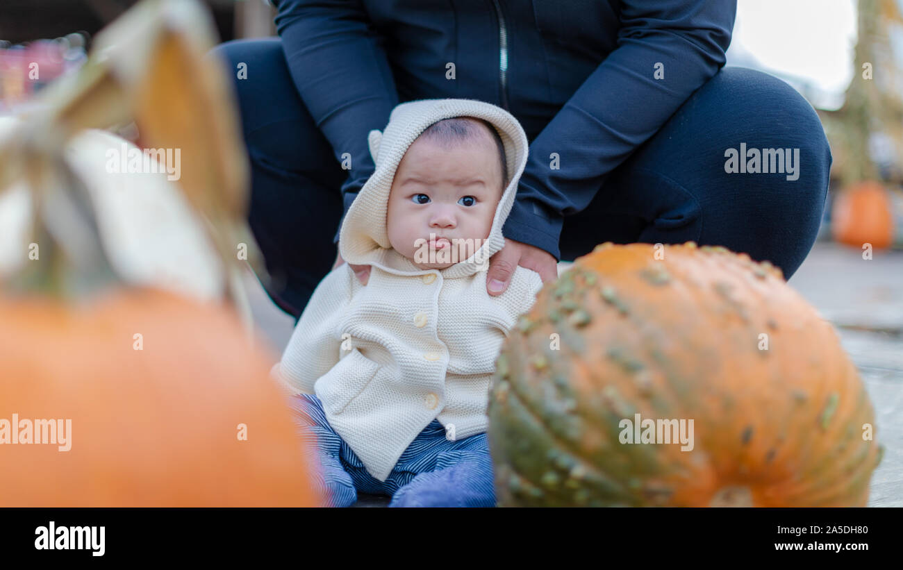 Porträt eines Jungen draußen in einer für Halloween Pumpkin Patch. Stockfoto