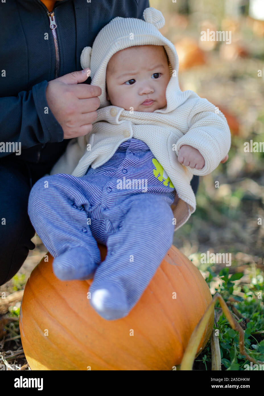 Porträt eines Jungen draußen in einer für Halloween Pumpkin Patch. Stockfoto