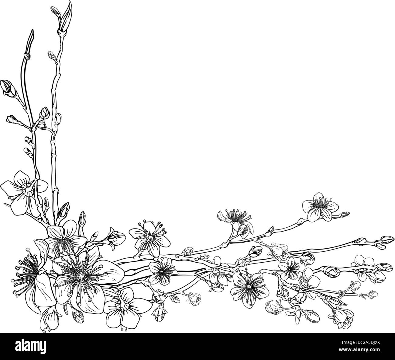 Kirsche Pfirsich Blüte Blume Design Stock Vektor