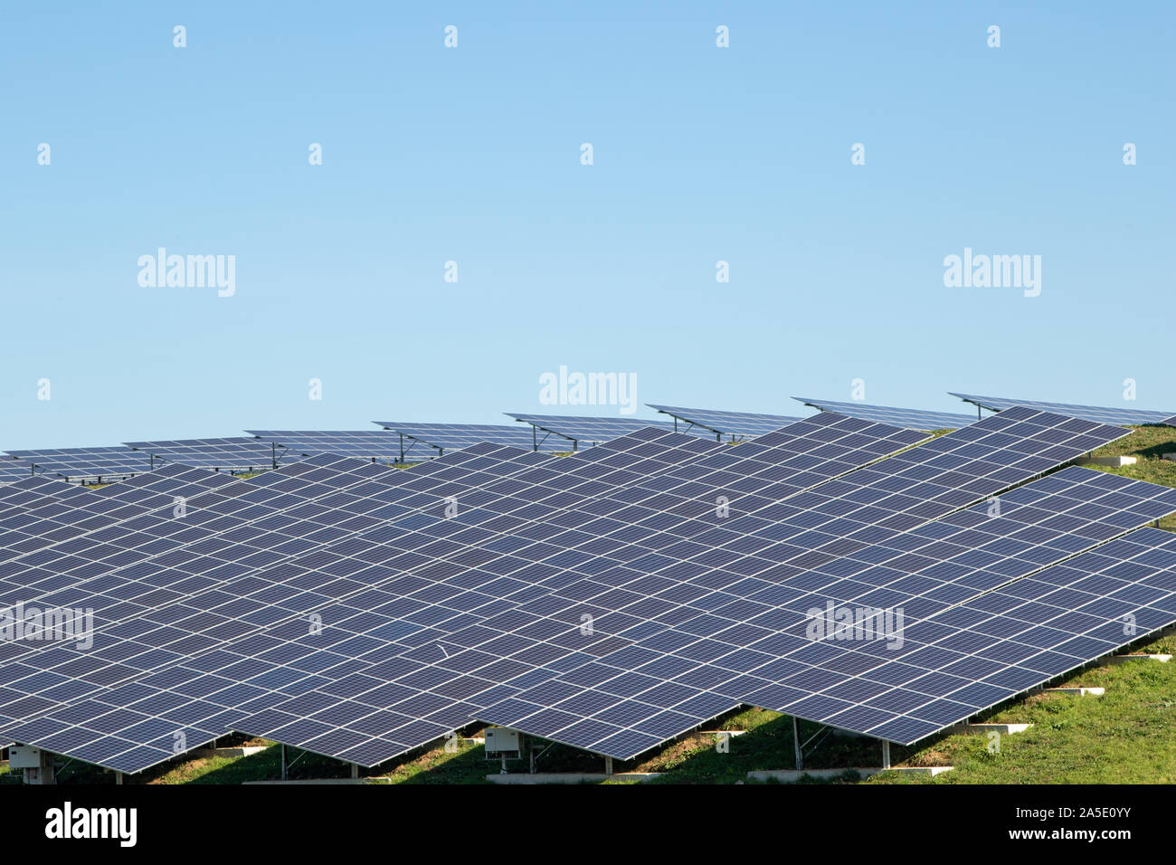 Ein Solarpark Produktion grüner Energie in den Niederlanden Stockfoto