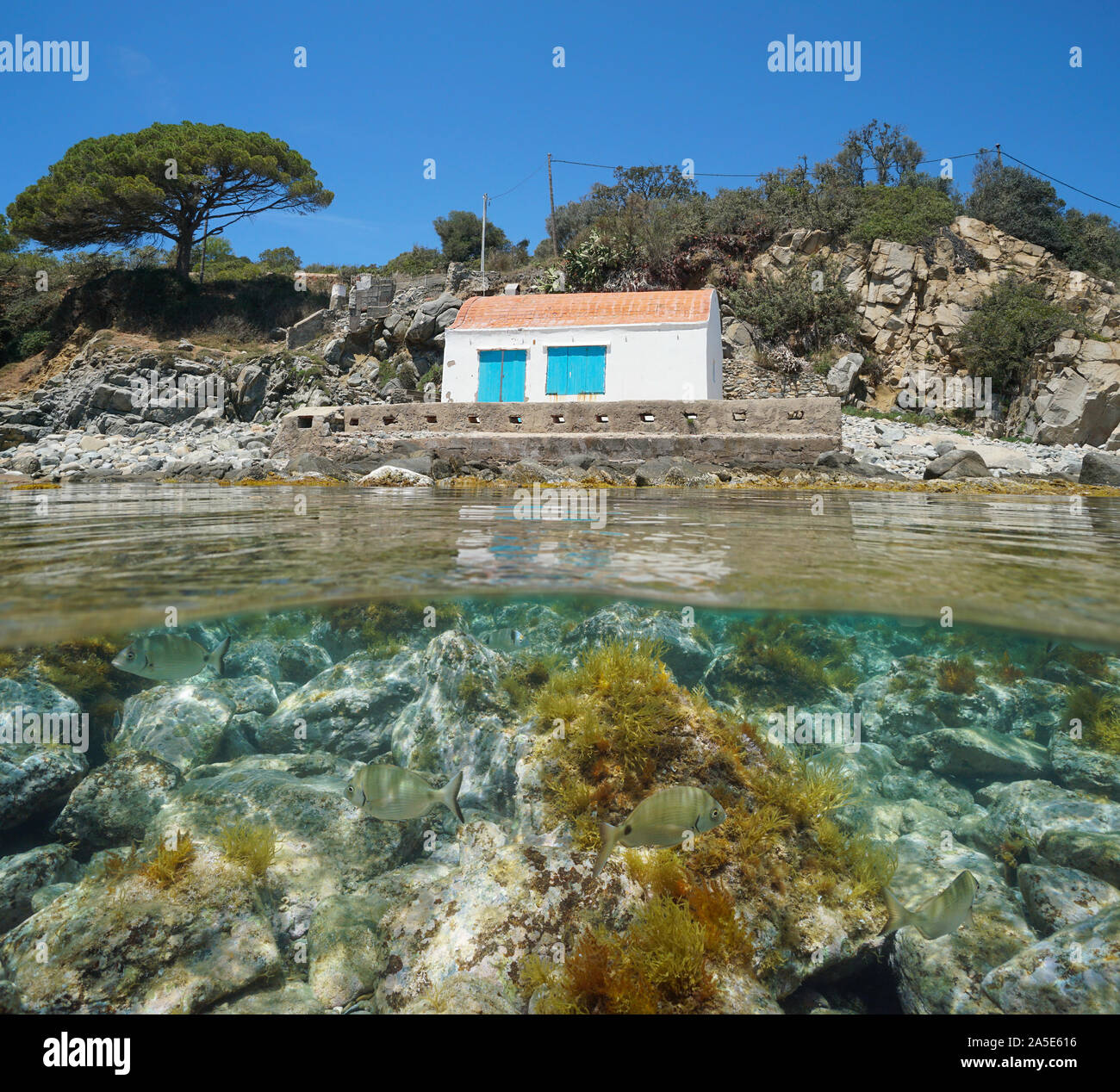 Alte Fischerhütte am Meer mit Fisch und Felsen unter Wasser, Spanien, Mittelmeer, Costa Brava, Palamos, Katalonien, geteilte Ansicht über unter Wasser Stockfoto