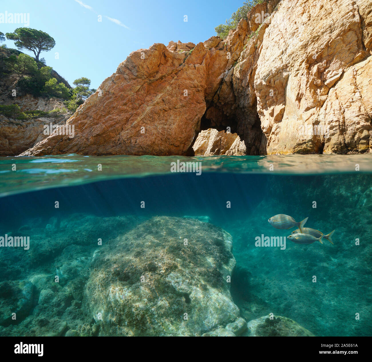 Felsige Küste mit Natural Arch, geteilte Ansicht über und unter Wasser, Mittelmeer, Spanien, Costa Brava, Katalonien, Palamos, Cala Foradada Stockfoto