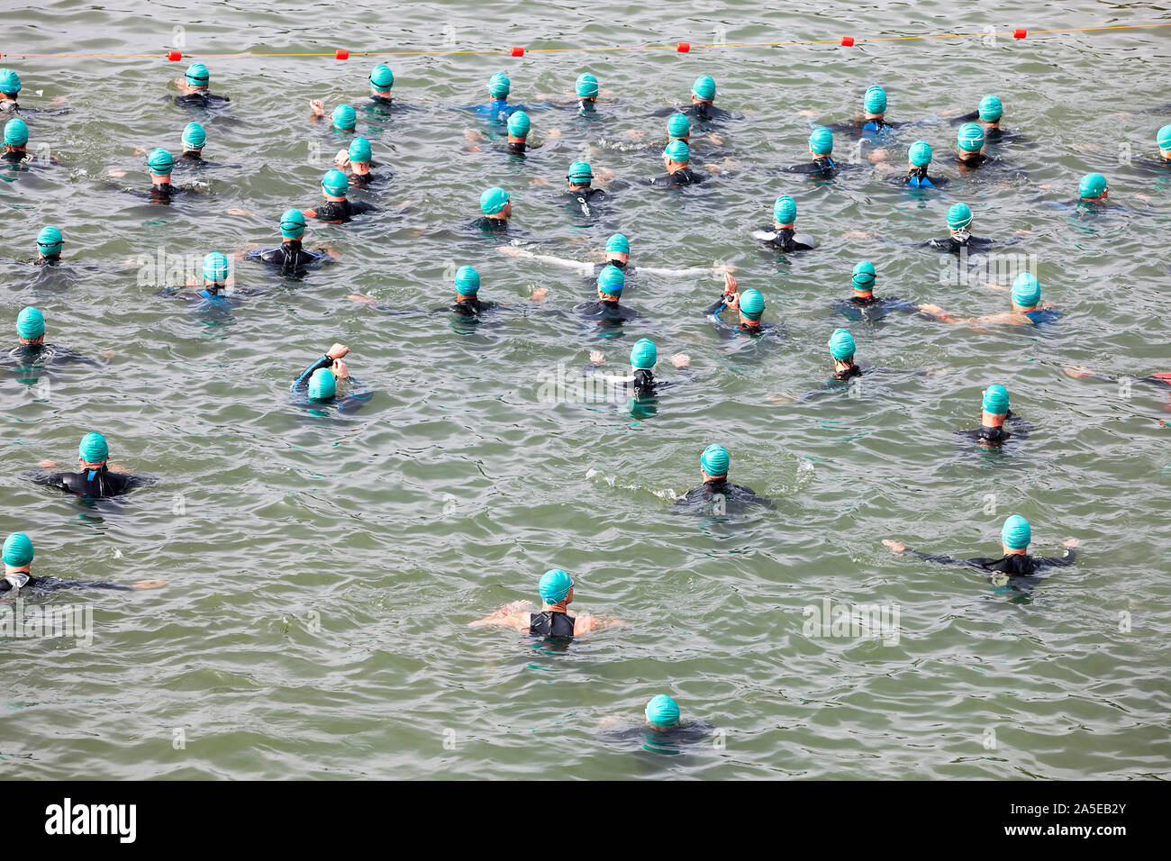 Große Gruppe von Schwimmern, Wettbewerb Stockfoto