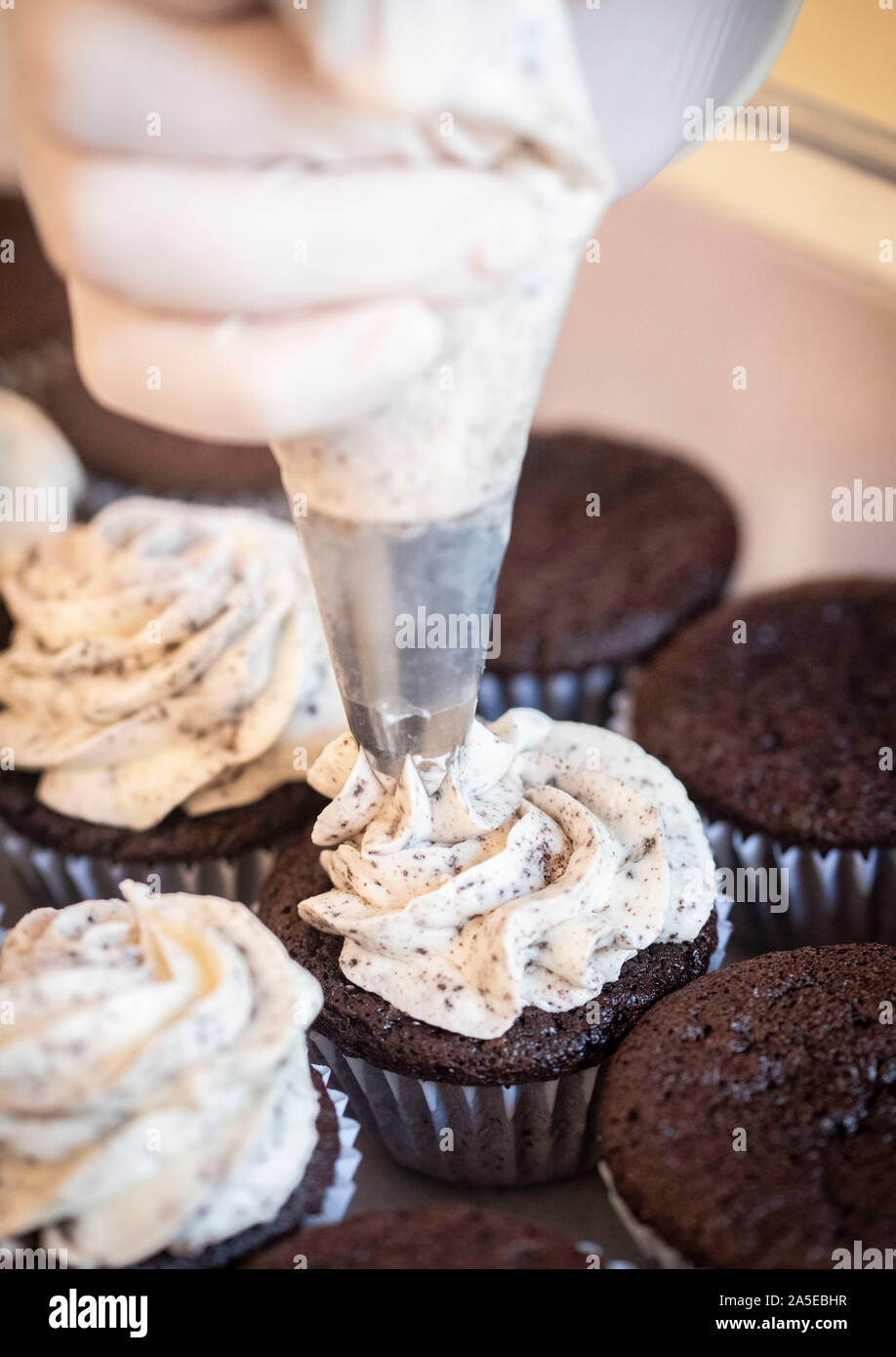 Baker hinzufügen Schokolade Chip Cupcake Zuckerguss auf Schokolade Cupcakes mit Ein Spritzer Stockfoto
