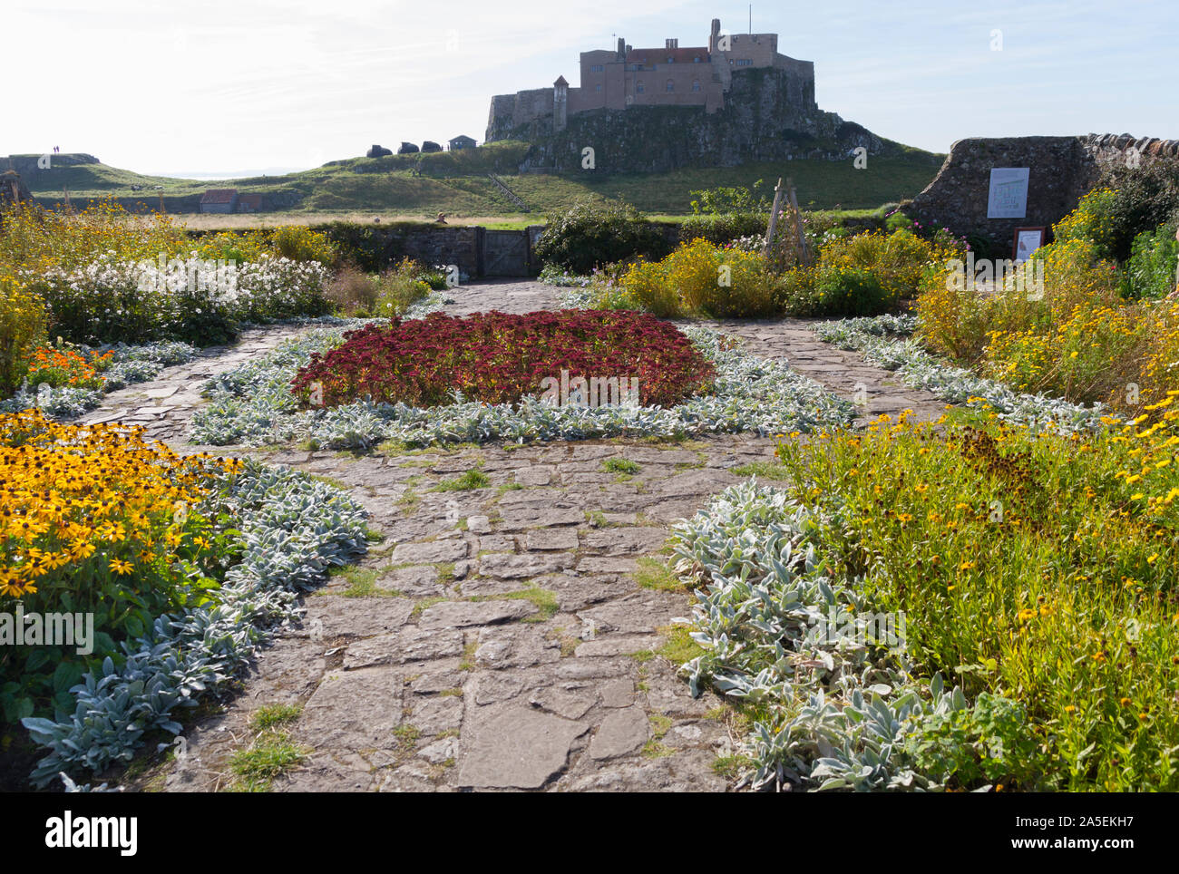 Die Gertrude Jekyll Garten auf Lindisfarne/Heilige Insel Northumberland, Großbritannien Stockfoto
