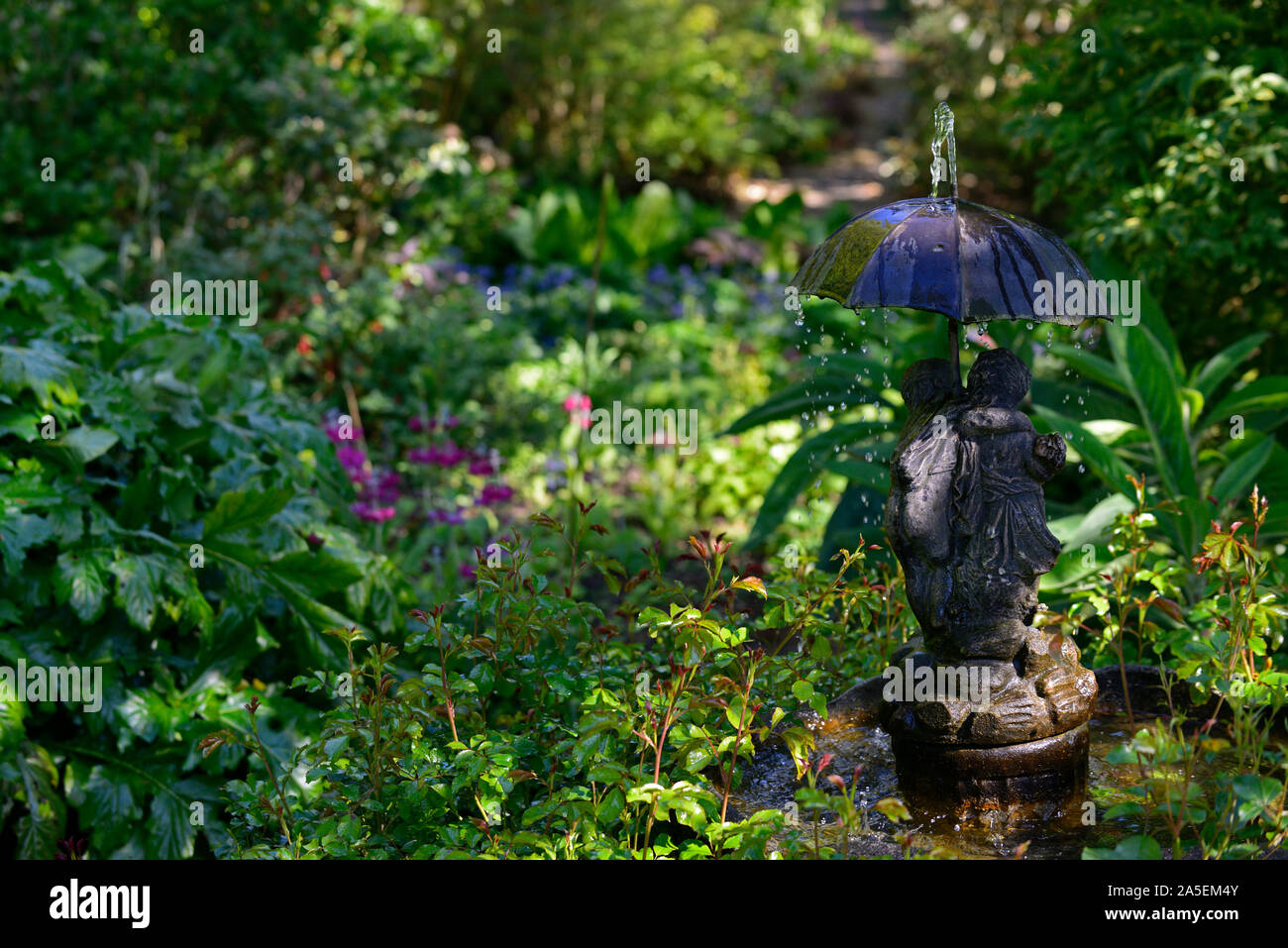 Wasserspiel, Regenschirm, Brunnen, Garten, Gärten, RM Floral Stockfoto