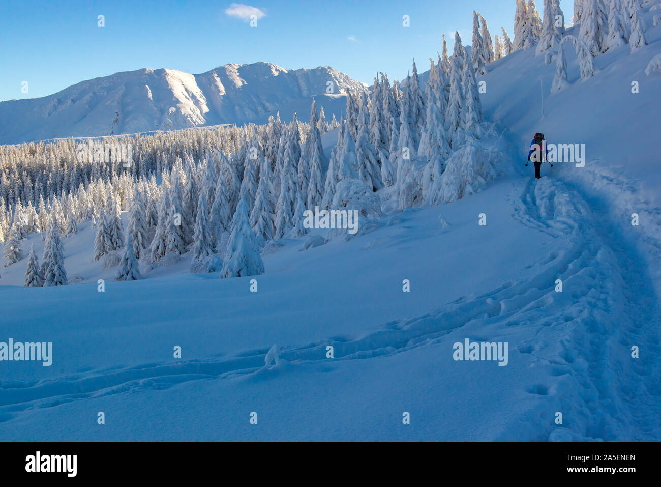 Tatra-Gebirge - Polen Stockfoto