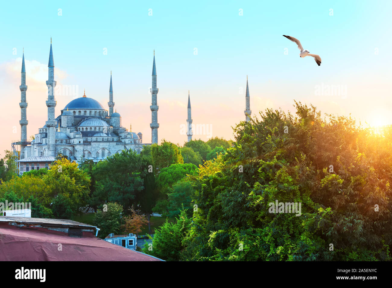 Die Blaue Moschee in Istanbul, Seitenansicht Stockfoto