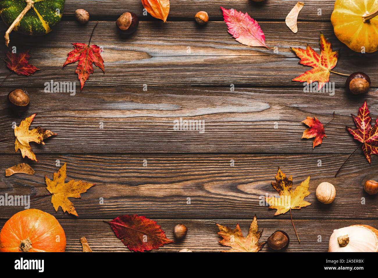 Thanksgiving oder Herbst. Herbst Komposition mit Kürbissen, Laub, trockene Blumen und die Muttern an der rustikalen Holzmöbeln Hintergrund. Flach, Ansicht von oben, cop Stockfoto