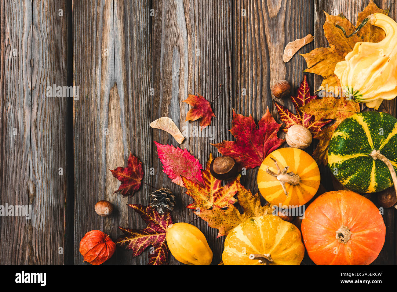 Herbst Thanksgiving und Halloween Kürbisse, Blätter, Squash, Beeren und Nüsse über rustikalen Holztisch Hintergrund. Flach, Ansicht von oben mit der Kopie Raum Stockfoto