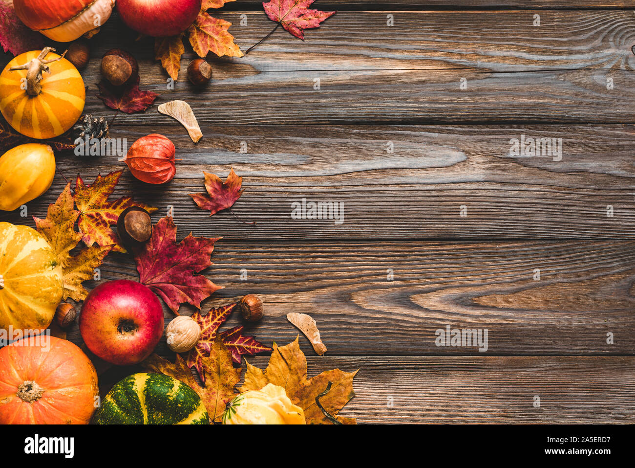 Thanksgiving oder Herbst Hintergrund. Herbst Komposition mit Kürbissen, Laub, trockene Blumen und Muttern auf rustikalen Holztisch. Flach, Ansicht von oben, cop Stockfoto