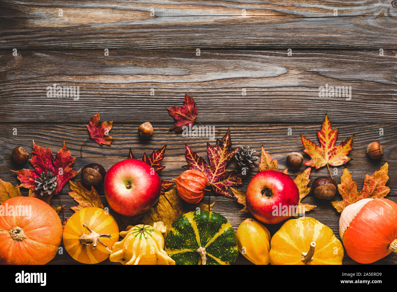 Happy Thanksgiving Konzept. Herbst Komposition mit Kürbissen, Laub, trockene Blumen, Beeren und Nüsse auf rustikalen Holztisch. Flach, Ansicht von oben Stockfoto