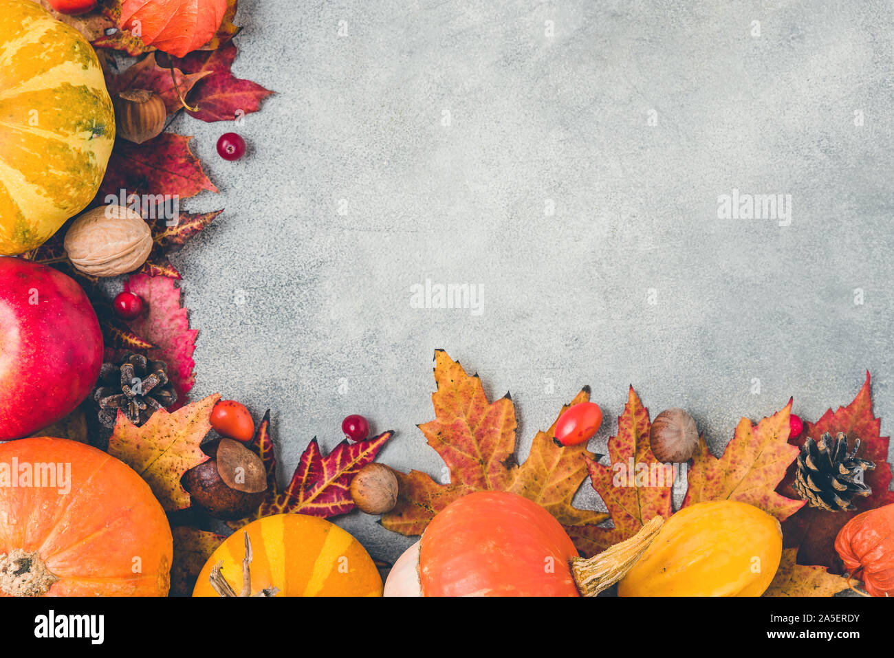 Thanksgiving oder Herbst Hintergrund. Herbst Komposition mit Kürbissen, Laub, trockene Blumen, Beeren und Nüsse auf konkrete Tabelle. Flach, Ansicht von oben, Stockfoto