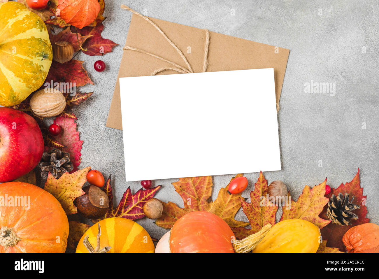 Thanksgiving oder Herbst Hintergrund. Leere Grußkarte mit Kürbissen, Laub, trockene Blumen, Beeren und Nüsse auf konkrete Tabelle. Flach, oben vi. Stockfoto