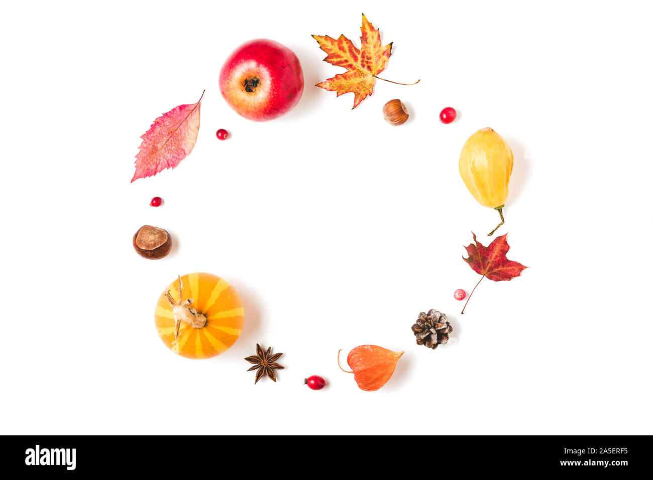 Herbst Komposition. Kranz aus Herbst Blätter, Blumen, Kürbisse, Beeren auf weißem Hintergrund. Flach, Ansicht von oben mit der Kopie Raum Stockfoto