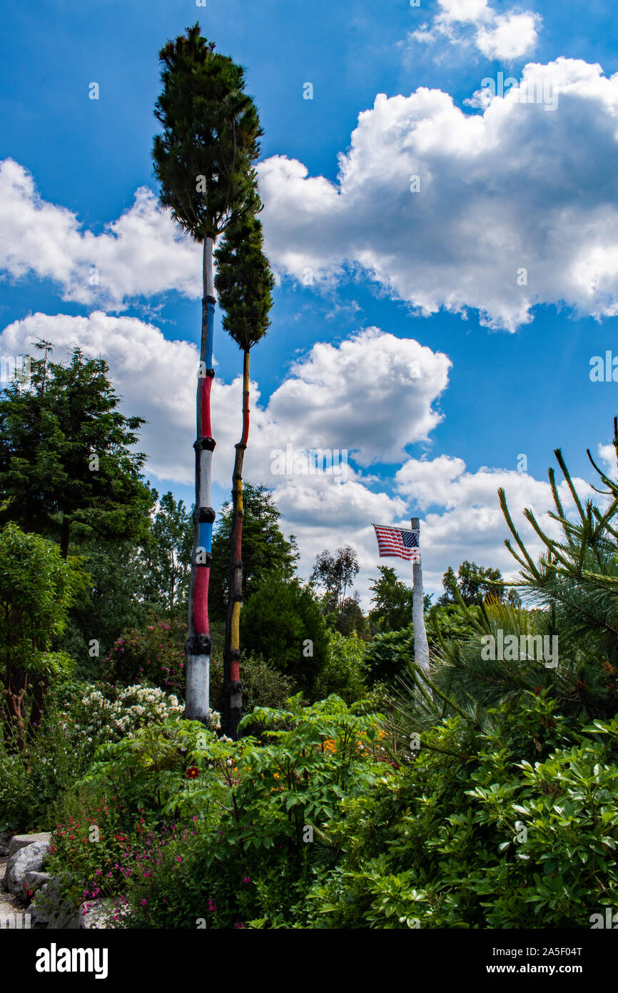 Monterey Pinien, Welt Garten, Lullingstone, Kent Stockfoto