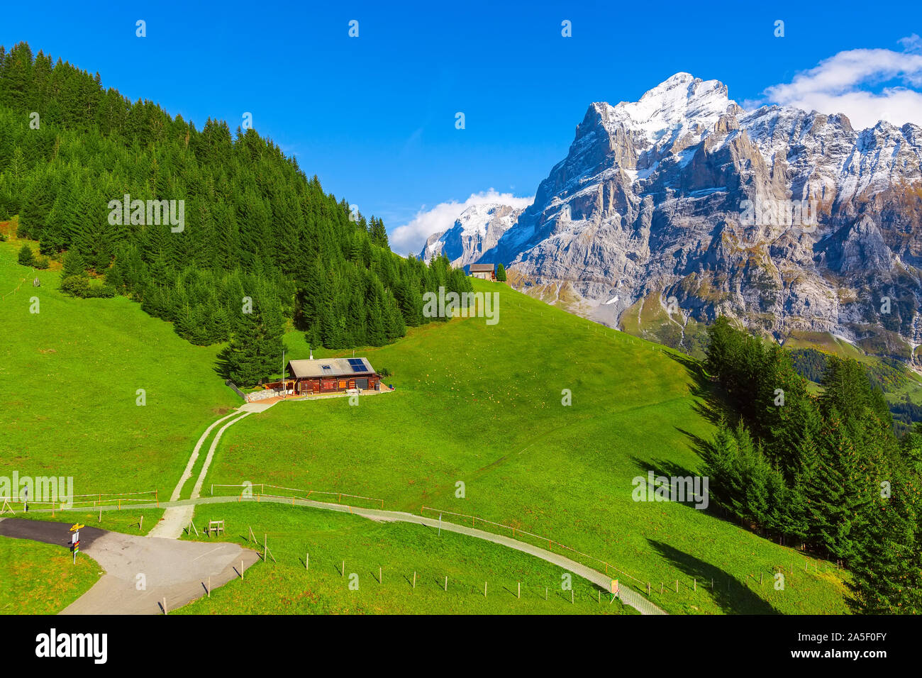 Grindelwald, Schweiz Antenne herbst Schweizer Alpen Panorama Landschaft, Holzchalet auf der grünen Wiese und hohem Schnee Gipfeln im Hintergrund, Bernes Stockfoto