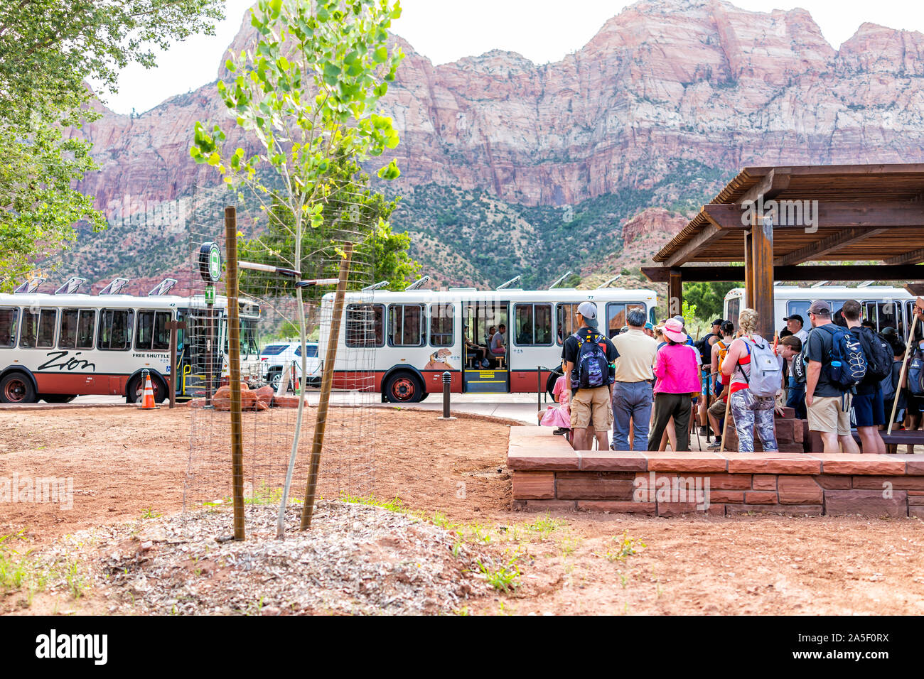 Springdale, USA - August 6, 2019: Zion National Park in Utah bei Transport Shuttle Bus stop Besucherzentrum im Sommer mit Masse von vielen Menschen Wai Stockfoto