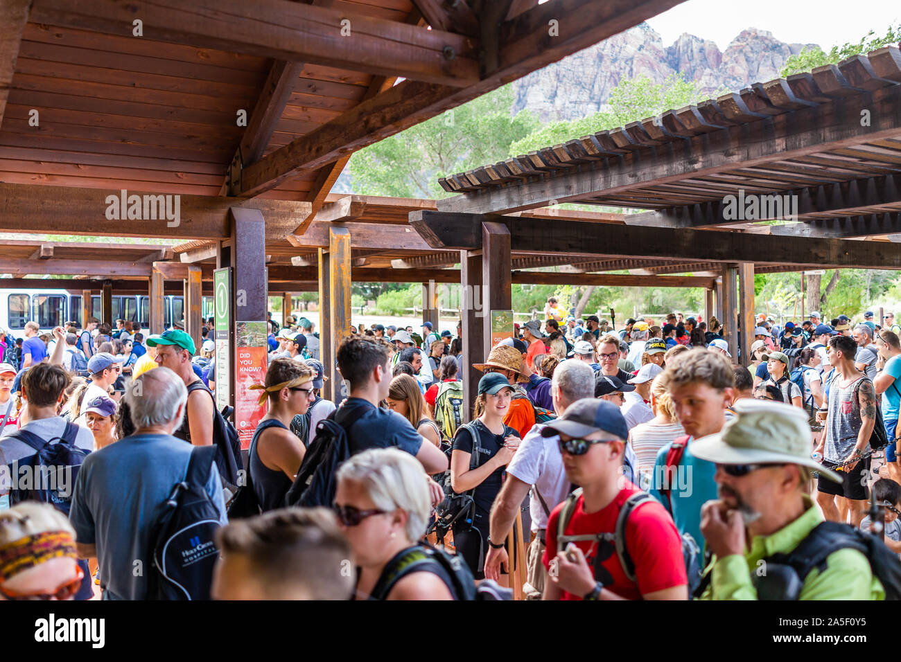 Springdale, USA - August 6, 2019: Zion National Park am Shuttle Bus stop Besucherzentrum im Sommer mit Masse von viele Menschen warten in Warteschlange Stockfoto