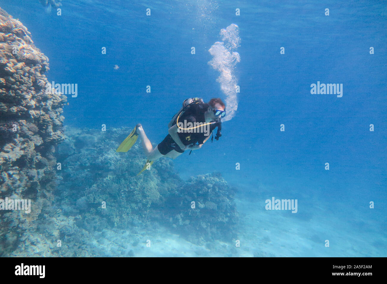 Der Mensch ist Schwimmen unter Wasser im Meer. Reisen, Wassersport outdoor adventure Konzept. Stockfoto