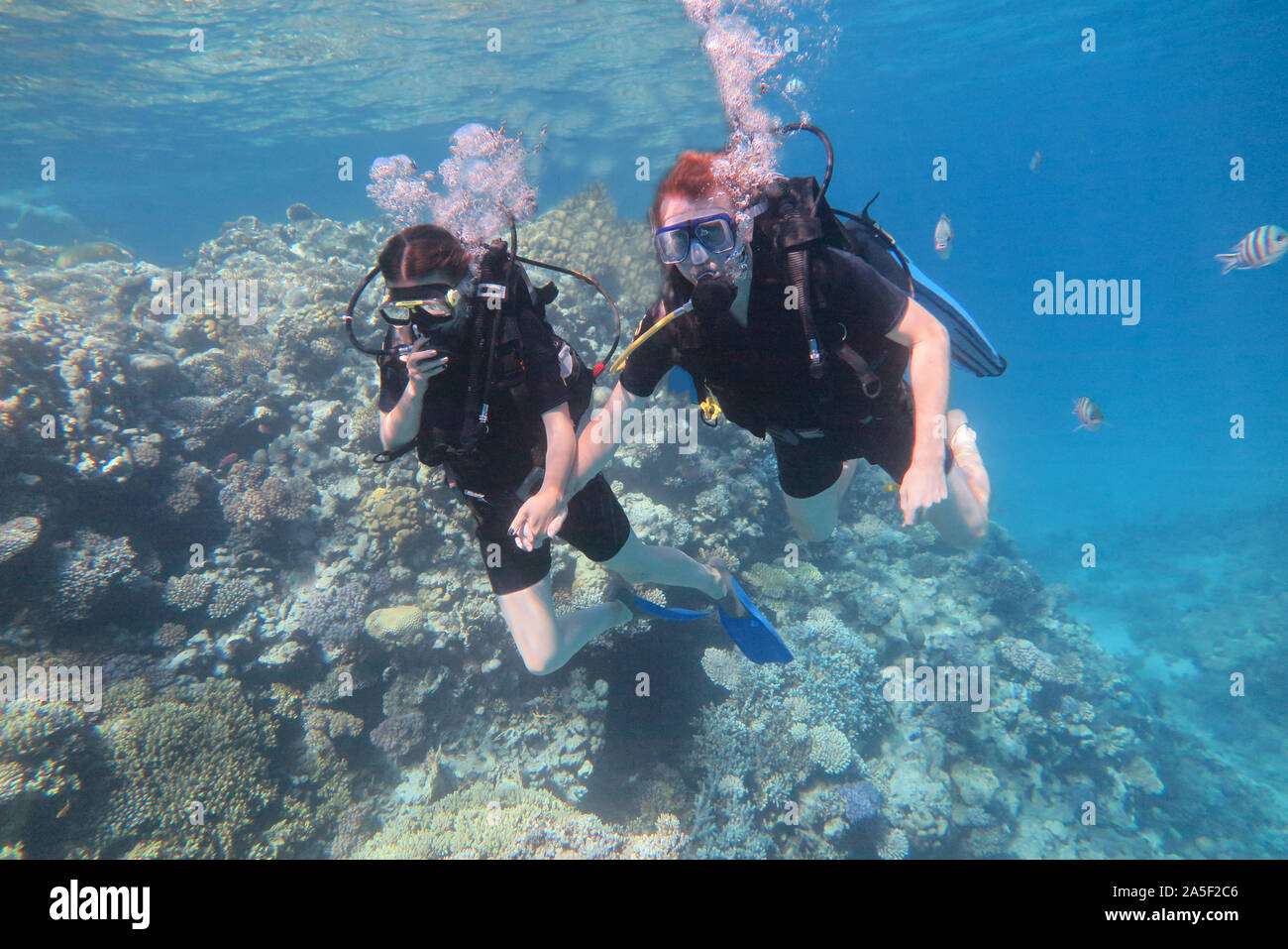 Paar ist Schwimmen unter Wasser im Meer. Reisen, Wassersport outdoor adventure Konzept. Stockfoto