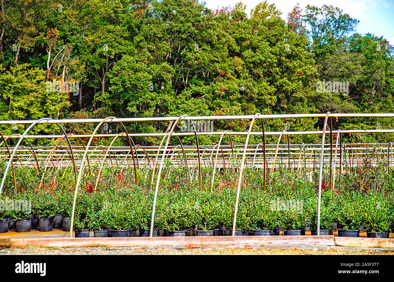 Das Bewässerungssystem in Ackerland Pflanzen und Ernten für Baumschulen zu Wasser Stockfoto