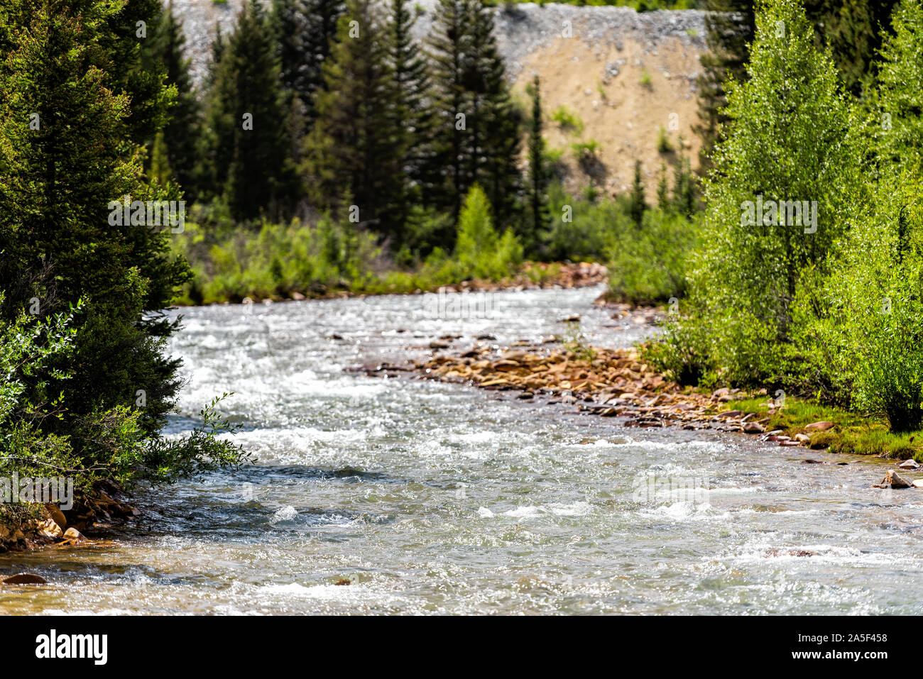 Weiss Türkis Wasser Mineral Creek stream in Silverton, Colorado, USA, im Sommer in der Nähe der Million Dollar Highway mit hellen, sonnigen Fluss Stockfoto