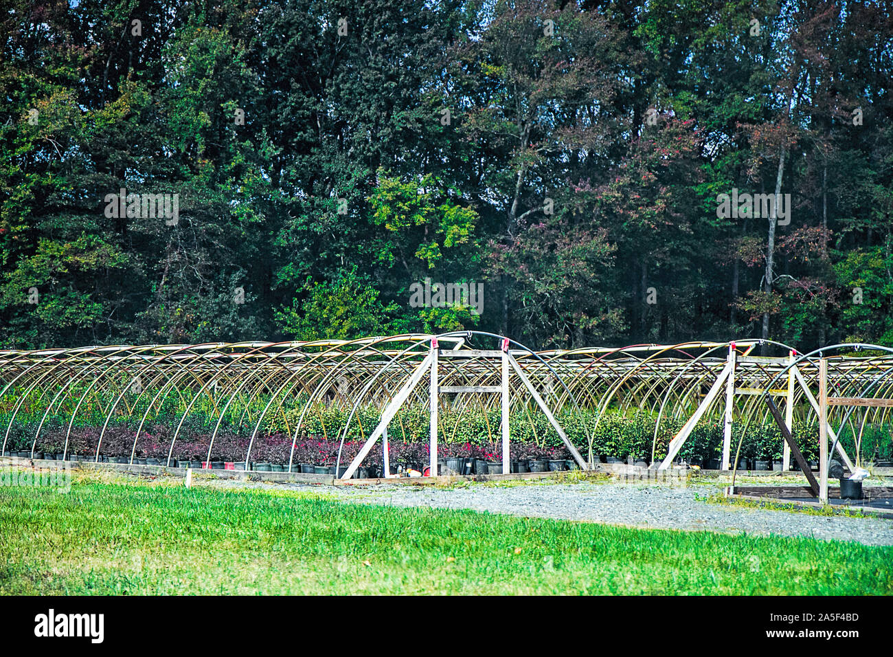 Das Bewässerungssystem in Ackerland Pflanzen und Ernten für Baumschulen zu Wasser Stockfoto